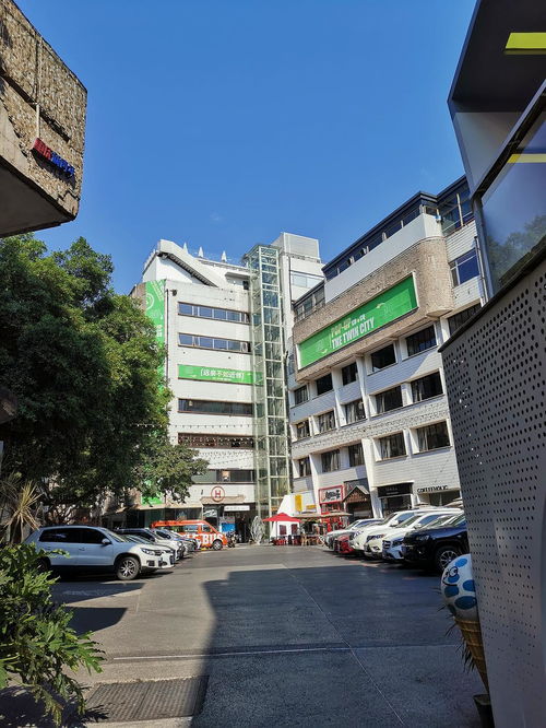 鵝嶺公園與鵝嶺二廠對比 賞景傳承，新舊碰撞中的門票代理策略思考