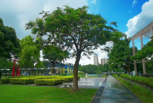 廣東中山 一座由舊廠房蝶變的獲獎公園，如何用創意點亮城市記憶？